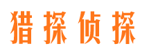 保定商务调查